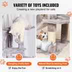 Arbre à Chat - Staar