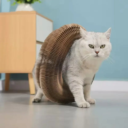 MagicScratch™ – Griffoir interactif accordéon pour chat