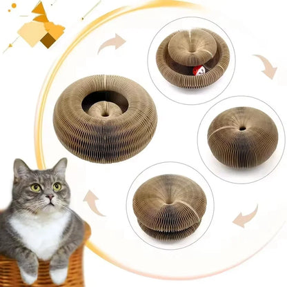 MagicScratch™ – Griffoir interactif accordéon pour chat
